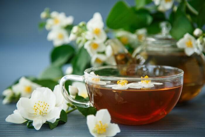 Nguồn gốc của trà hoa lài