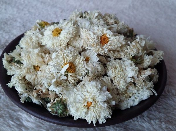 Bạch cúc cũng là một trong số những loài hoa cúc làm trà phổ biến nhất