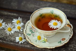 cách pha trà hoa cúc