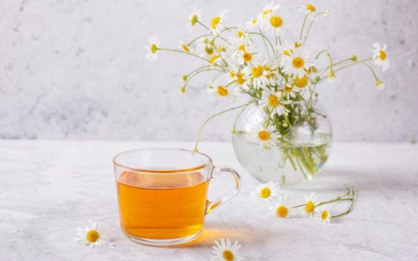 Uống Trà Hoa Cúc Giảm Cân | Bạn Đã Thử Chưa?